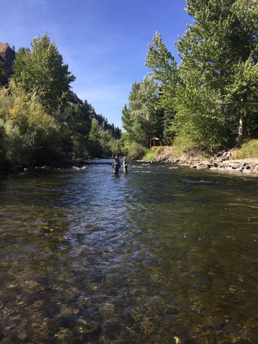 Idaho Trout Adventure in Ketchum