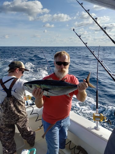 Nearshore Adventure In Manteo