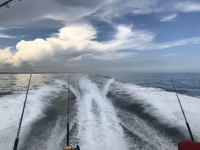 Offshore Fishing Trip In Manteo