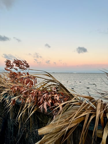 Chasing Pins On The Coastal Bend In Port Aransas