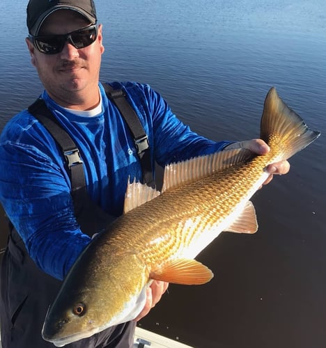 Inshore Insanity In Port Orange