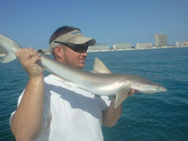 Inshore Insanity In Port Orange