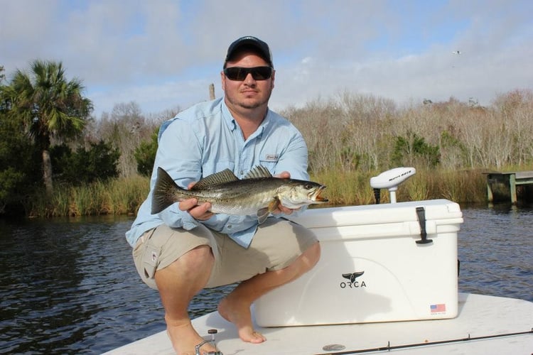 Inshore Insanity In Port Orange