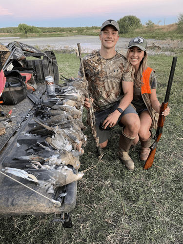 South Texas Dove Hunt