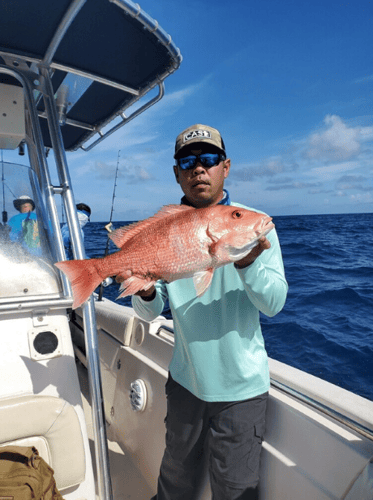 Clearwater Red Snapper Trip In Clearwater