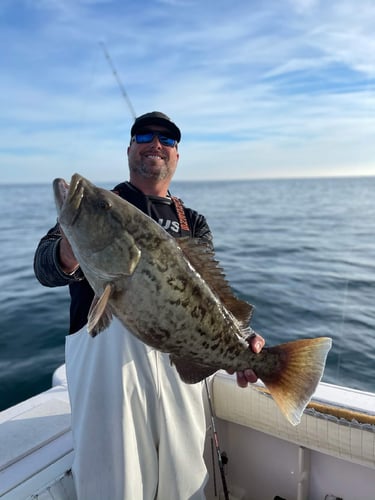 Clearwater Mixed Bag Trip In Clearwater