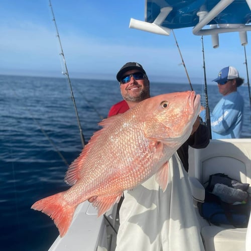 Clearwater Red Snapper Trip In Clearwater