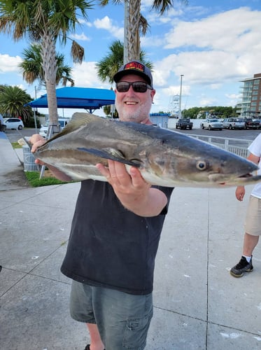 Clearwater Mixed Bag Trip In Clearwater