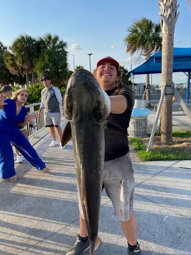 Clearwater Mixed Bag Trip In Clearwater