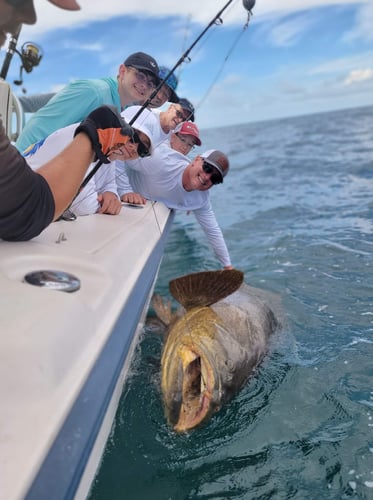 Clearwater Mixed Bag Trip In Clearwater