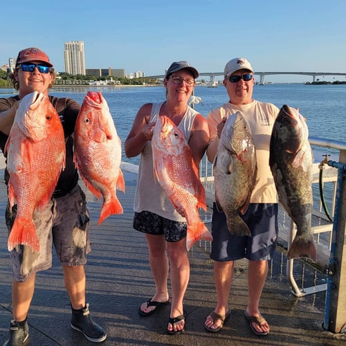 Clearwater Mixed Bag Trip In Clearwater