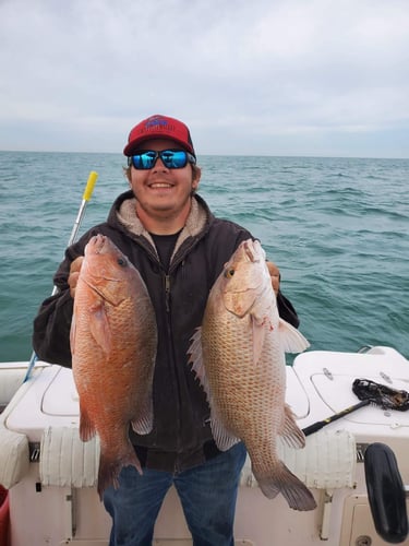 Clearwater Mixed Bag Trip In Clearwater