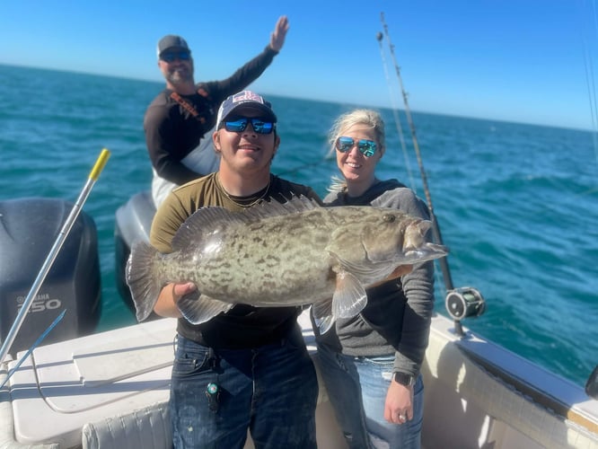 Clearwater Mixed Bag Trip In Clearwater