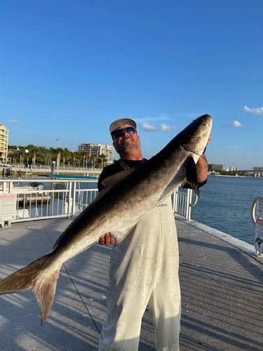 Clearwater Mixed Bag Trip In Clearwater