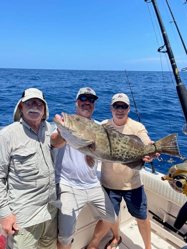 Clearwater Mixed Bag Trip In Clearwater