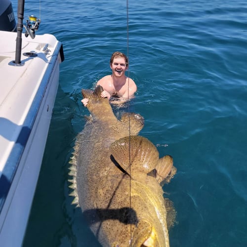 Clearwater Mixed Bag Trip In Clearwater