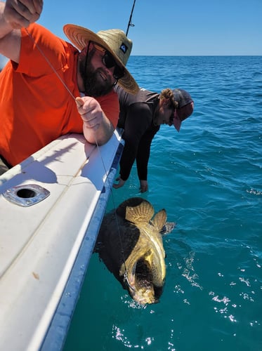 Clearwater Mixed Bag Trip In Clearwater