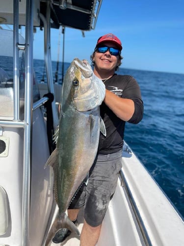 Clearwater Mixed Bag Trip In Clearwater