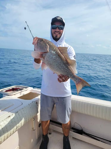 Clearwater Mixed Bag Trip In Clearwater