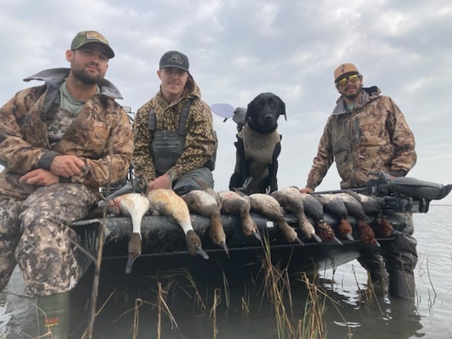 Whacking Ducks In North Rockport In Rockport