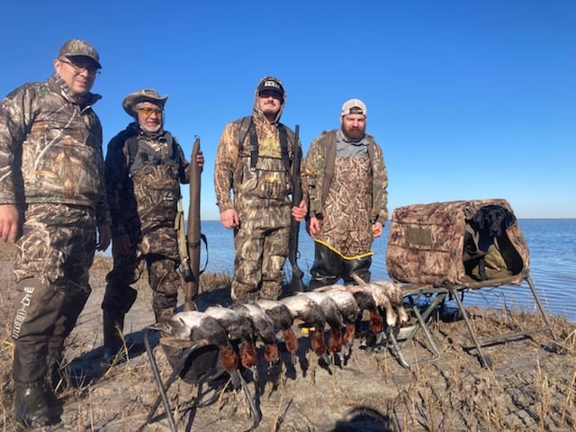 Whacking Ducks In North Rockport In Rockport