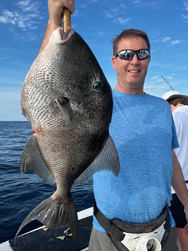 Destin Trolling & Bottom Fishing In Destin