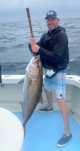 Destin Trolling & Bottom Fishing in Destin
