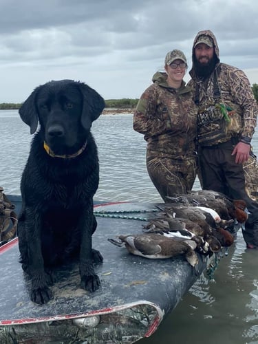 Aransas Pass Quacker Smacker In Aransas Pass