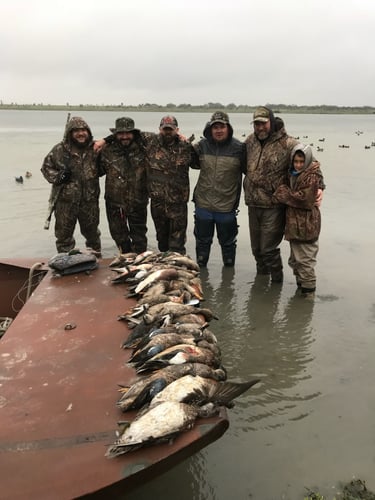 South Texas Waterfowl
