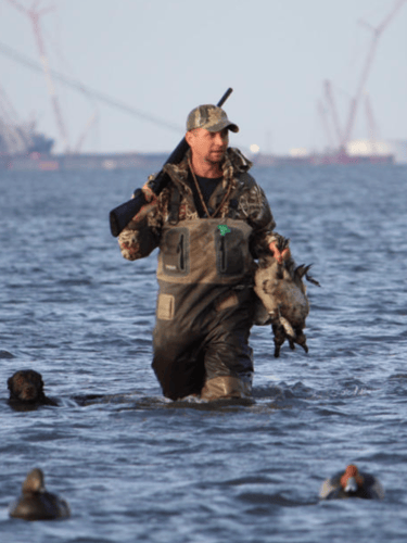 Self Guided Coastal Bend Ducks In Port Aransas