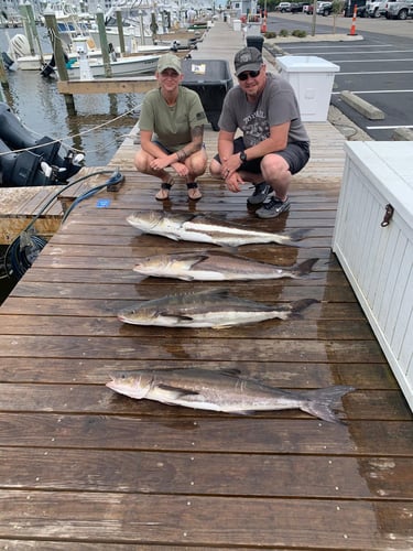 Prizewinner Inshore Trip In Manteo