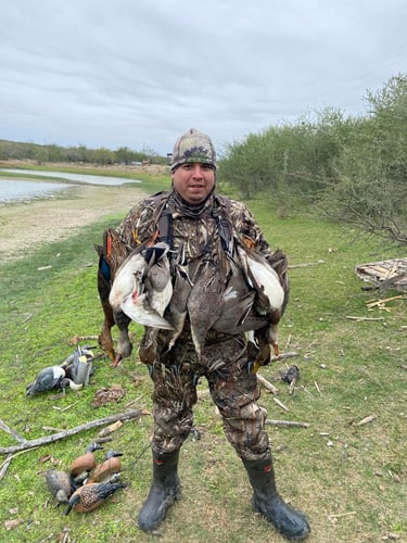 South Texas Quacker Smacker In Weslaco