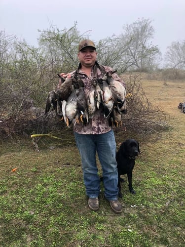 South Texas Quacker Smacker In Weslaco