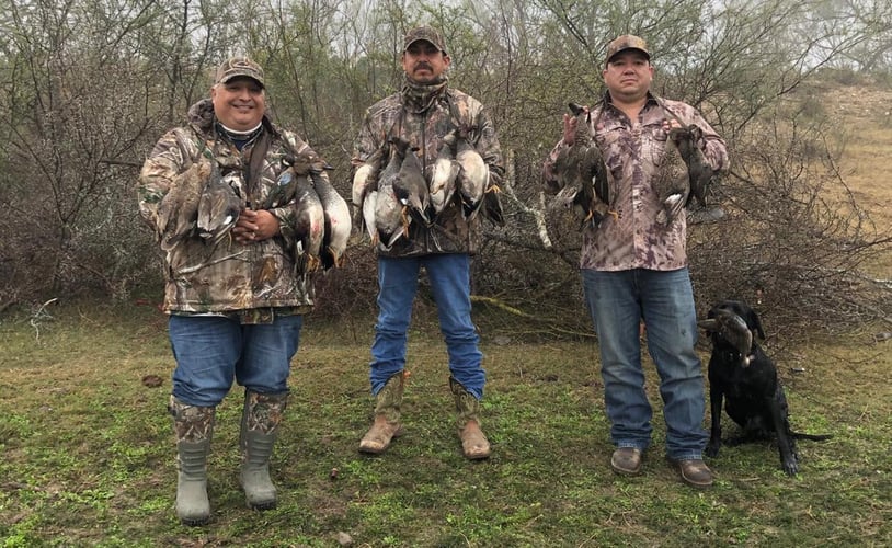 South Texas Quacker Smacker In Weslaco