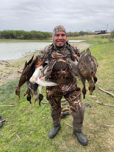 South Texas Quacker Smacker In Weslaco