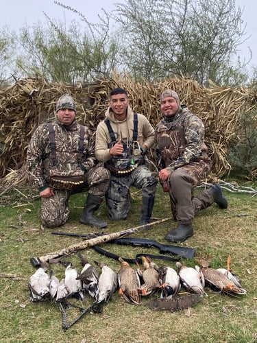 South Texas Quacker Smacker In Weslaco