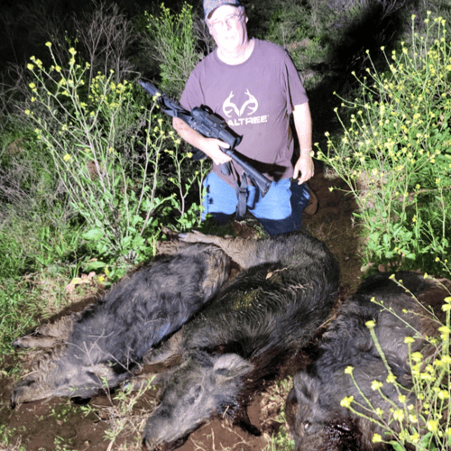 Coldspring Nighttime Hog Hunt In Coldspring