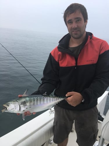 Inshore Sport Trip In Bourne