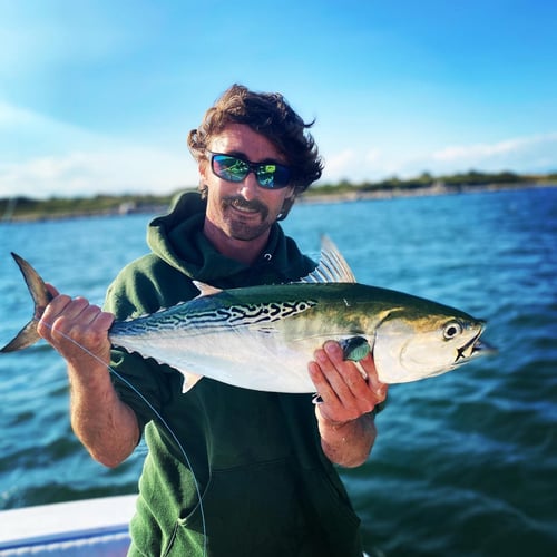 Inshore Sport Trip In Bourne