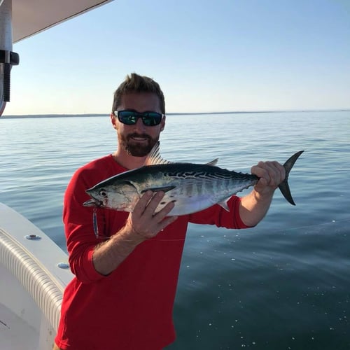 Inshore Sport Trip In Bourne