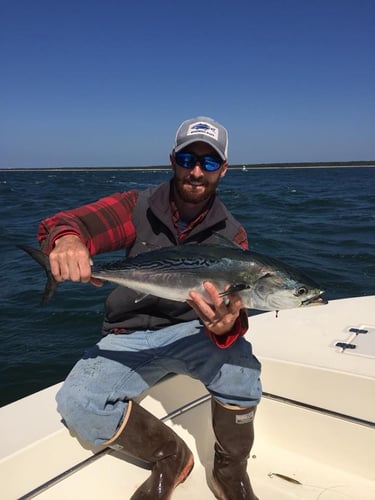 Inshore Sport Trip In Bourne