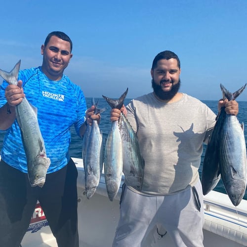 Inshore Sport Trip In Bourne
