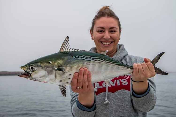 Inshore Sport Trip In Bourne