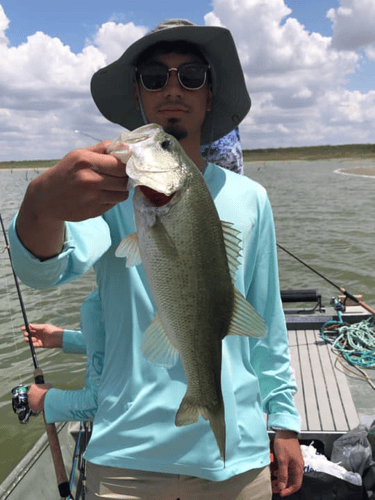Falcon Lake Bass And Gar In Roma