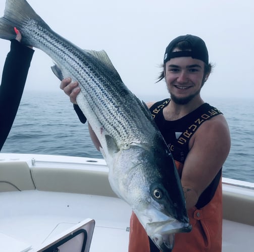 Striper And Bluefish Trip In Bourne