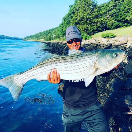 Striper And Bluefish Trip In Bourne