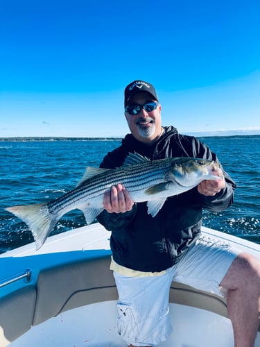 Striper And Bluefish Trip In Bourne