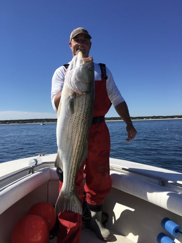 Striper And Bluefish Trip In Bourne