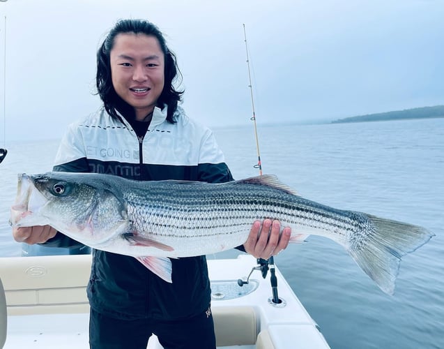 Striper And Bluefish Trip In Bourne