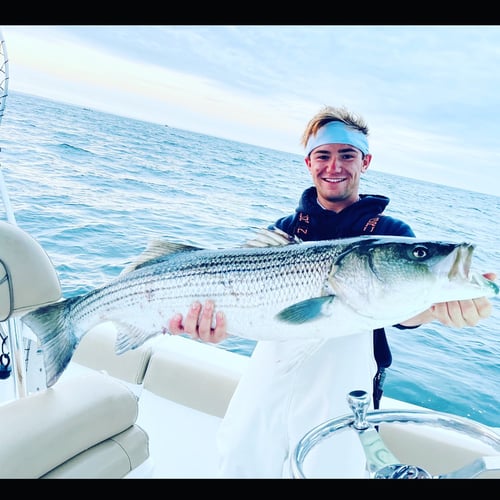 Striper And Bluefish Trip In Bourne